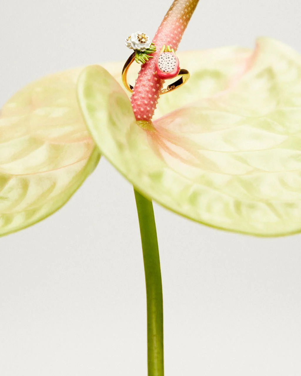 Dragon Fruit And Pitaya Flower You And Me Adjustable Ring | ARPA6031 - Image 5